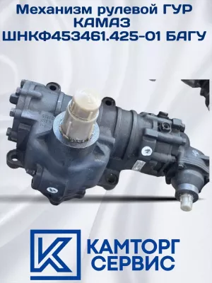 ГУР ШНКФ 453461.425