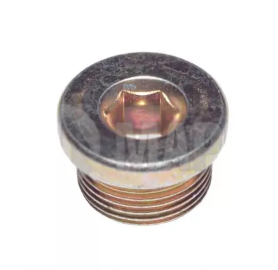 Пробка поддона сливнаЯ (М22х1,5) А000908022011 а/м КамАЗ 5490 023.323