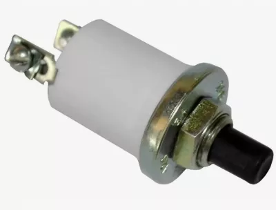 Включатель кнопочный (ВК-322)  г. Старый Оскол