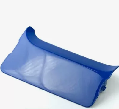 Заглушка поворотной фары (син.) 5490-8416067-10