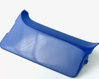 Заглушка поворотной фары (син.) правая 5490-8416066-10